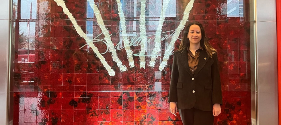 AYÇA ÇAĞLAR: “SANDIKTA YENEMEYENLER, YARGI SOPASINA SARILIYOR” - GÜNDEM - İnternetin Ajansı