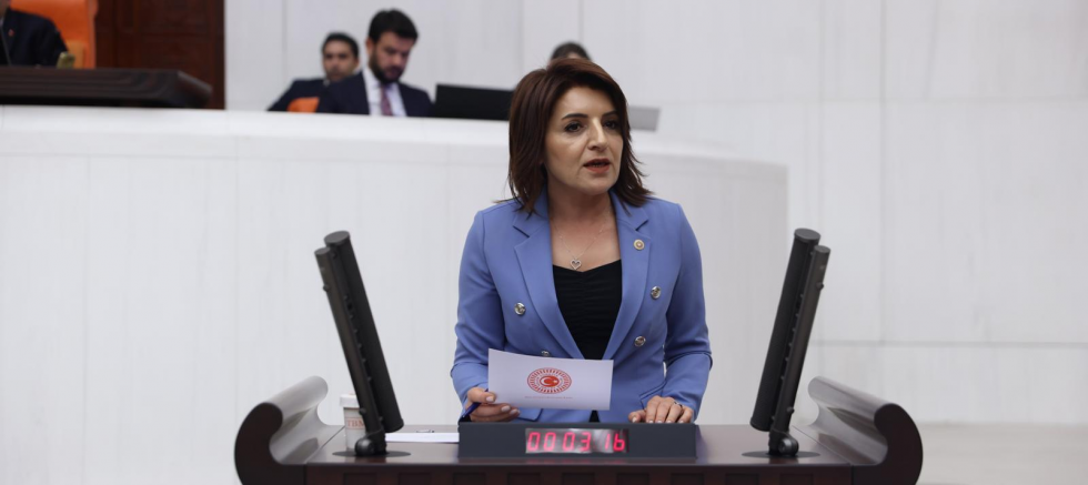 CHP Mersin Milletvekili Gülcan Kış: “AKP İktidarının Ekonomi Politikaları Nedeniyle Esnaf Kepenk İndiriyor, Şirketler Batıyor” - SİYASET - İnternetin Ajansı