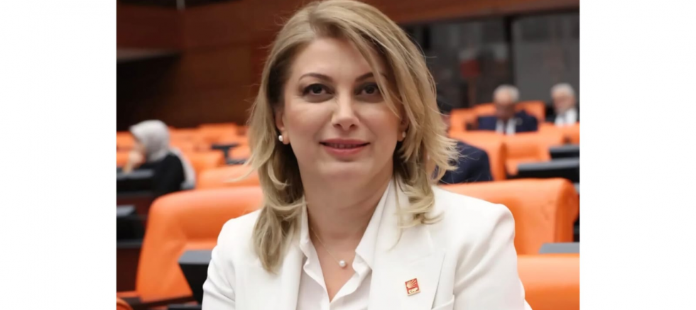 DİYARBAKIR İL BAŞKANI İSMAİL AKYIL: “ASU KAYA YALNIZ DEĞİLDİR, CİNSİYETÇİ SİYASETE GEÇİT VERMEYECEĞİZ” - GÜNDEM - İnternetin Ajansı