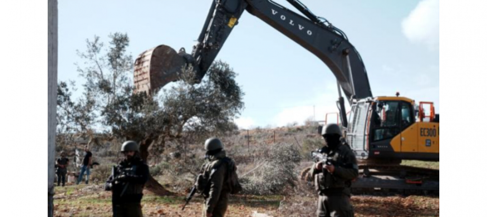 Taner Vural: Filistin’in Zeytin Ağaçlarına Yönelik Bu Saldırılar İnsanlığa Karşı Bir Suçtur - GÜNDEM - İnternetin Ajansı